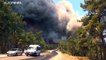 Лесной пожар в провинции Анталья