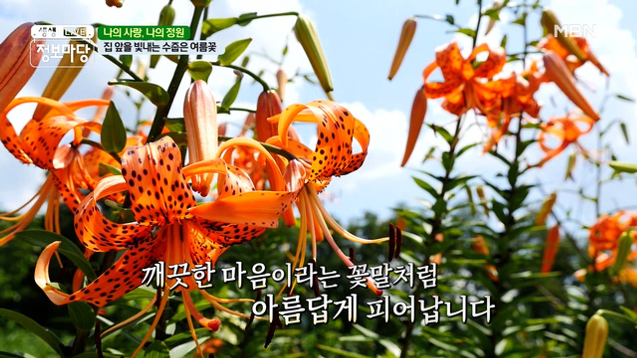 나의 사랑, 나의 정원