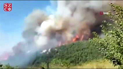 Lübnan’da orman yangını: 2 ölü, 23 yaralı