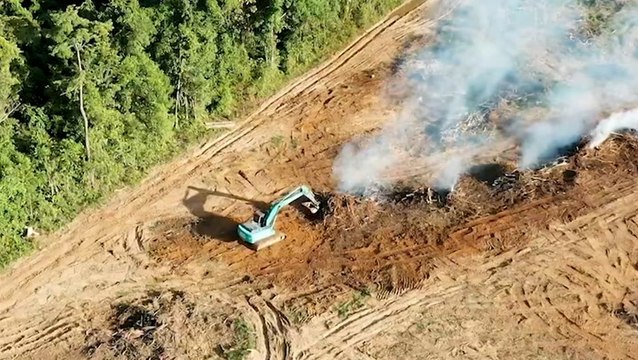 Carbon dioxide concerns in the Amazon