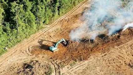 Carbon dioxide concerns in the Amazon