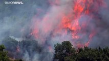Ελλάδα: Σε ύφεση η φωτιά στην Ελεκίστρα - Σε εξέλιξη η φωτιά στον Ερύμανθο