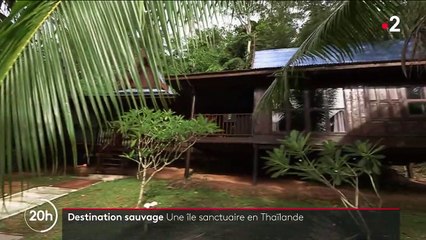 Thaïlande : à la découverte de Koh Talu, petite île préservée des touristes