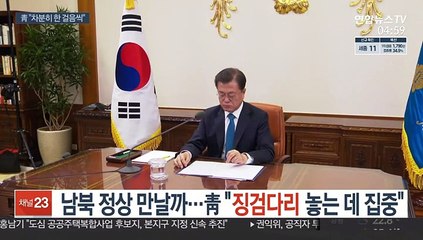 남북 정상 만날까…靑 "징검다리 놓는데 집중"