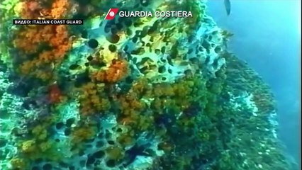 В Италии арестованы губители природы