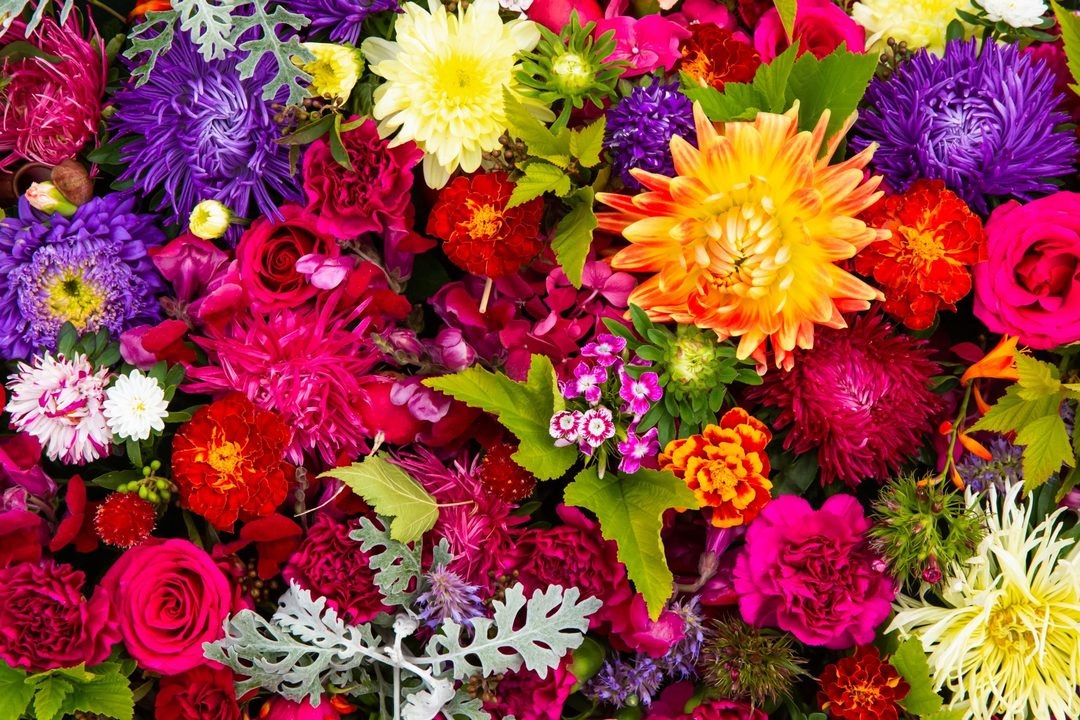 There's a Fun Floral Competition Show You Need To See, and It's on HBO Max