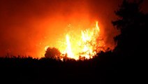 Manavgat'ta büyük felaket! Yangın bir türlü kontrol altına alınamıyor