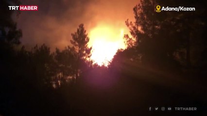 Adana ve Osmaniye'de 23 ayrı noktada orman yangını
