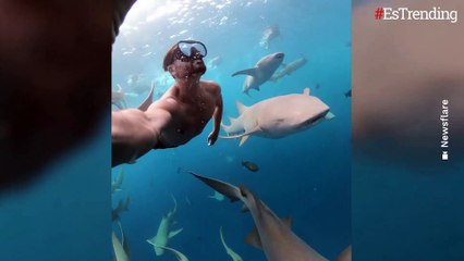 “Diviértete en la vida": influencer graba increíble video nadando junto a decenas de tiburones en el océano