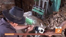 Idoso de 72 anos, fabricante de vassouras ecológicas, pede ajuda para melhorar seu trabalho