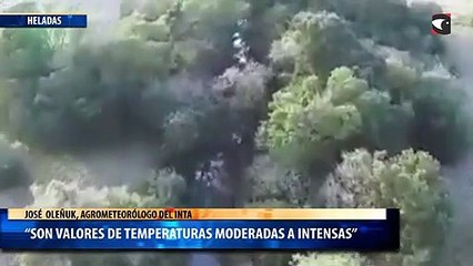 “son valores de temperaturas moderadas a intensas”