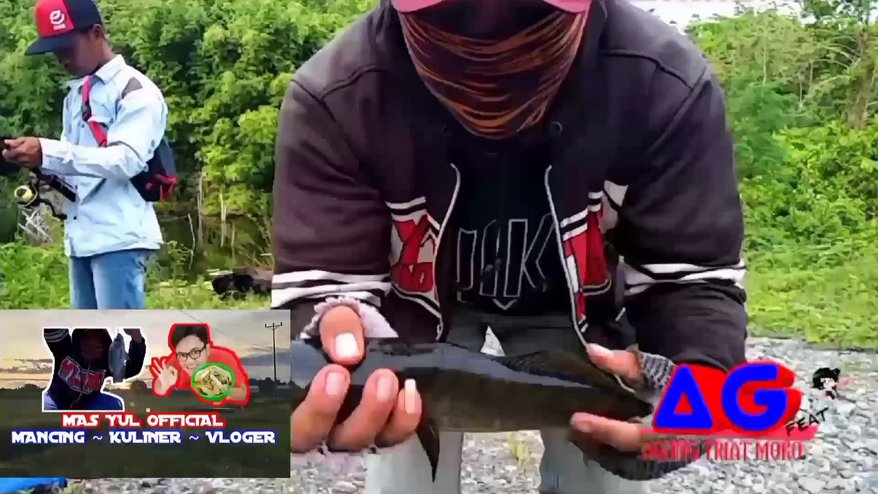 fishing for tilapia in forest swamps, the fish are very aggressive