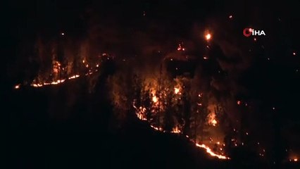 Yahyalı'daki Milli Park yangınında alevler geceyi aydınlattı