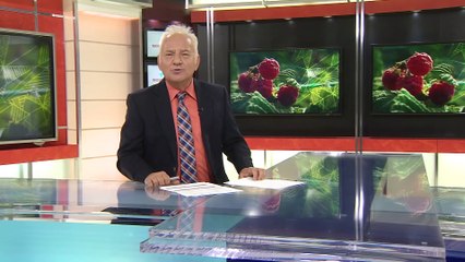 TVA Nouvelles CHAU 18h 28 juillet 2021