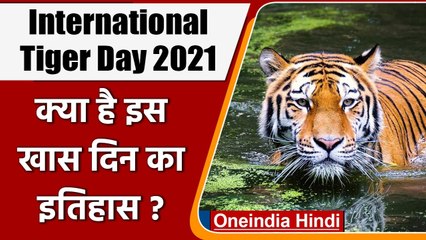 International Tiger Day 2021: क्या है इंटरनेशनल टाइगर डे का इतिहास और महत्व | वनइंडिया हिंदी