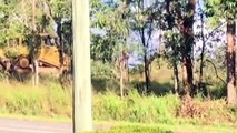 Gympie residents call for stronger land clearing laws
