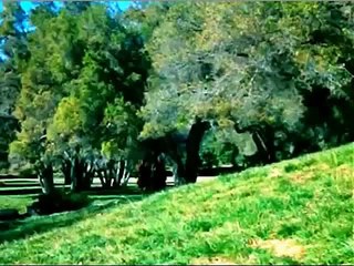 Fort West Point - Seriado Daniel Boone- Dublado