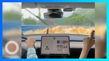 Pemilik Tesla di China Terobos Banjir untuk Buktikan Kecanggihannya - TomoNews