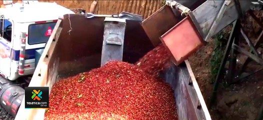 tn7-Finquero-que-estaba-secuestrado-fue-ubicado-sano-y-salvo-280721