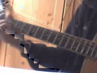 cheval blanc débutant