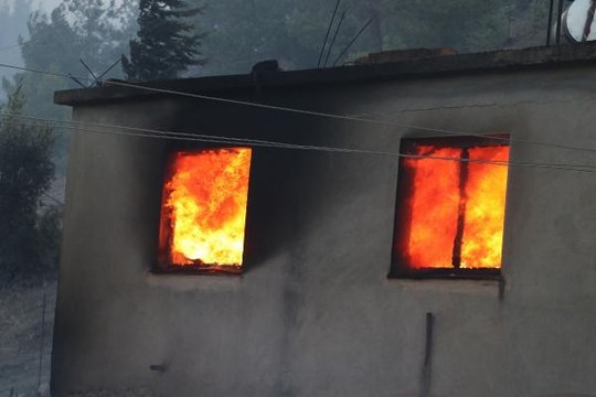 Kozan'da ikinci gününde devam eden orman yangının acı tablosu sabah ortaya çıktı