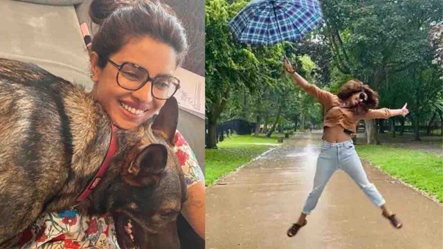 Priyanka Chopra Jonas ने Social Media पर Nick Jonas को चिढ़ाने के लिए Share किया ये | FilmiBeat