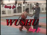 Malang Wushu (09)-2008-01B