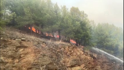 Mersin'in Bozyazı ilçesinde yangın