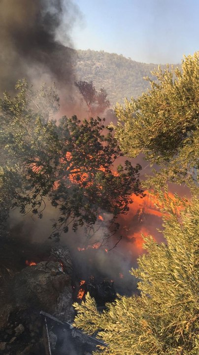 Mersin'in Silifke ilçesinde çıkan orman yangınına müdahale ediliyor