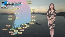 [내일의 바다낚시지수] 7월 30일 금요일, 서해안 하조도 돌돔낚시 호조황 기대 / YTN