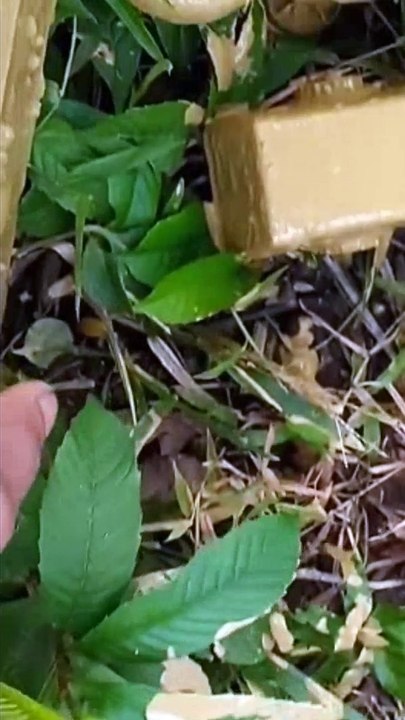 Membersihkan Mainan Mobil Mobilan, Mobil Truk Molen, Excavator, Crane, Buldozer, Truk Excavator