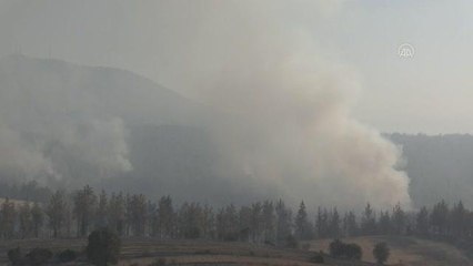 Orman yangınına müdahale sürüyor (2)