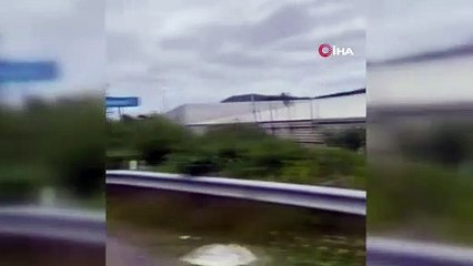 Alaskada 8,2 büyüklüğünde deprem: Tsunami uyarısı yapıldı!