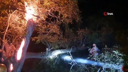 Elazığ’da çıkan yangında bir ev ve bahçeler zarar gördü