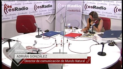 Mundo Natural: La digestión en vacaciones