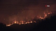Adana'daki orman yangınında evler alevlere teslim oldu