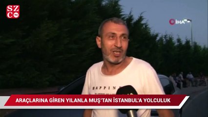 Araçlarına giren yılanla Muş’tan İstanbul’a kadar seyahat ettiler