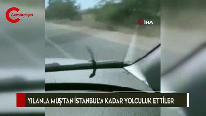 Araçlarına giren yılanla Muş’tan İstanbul’a kadar seyahat ettiler