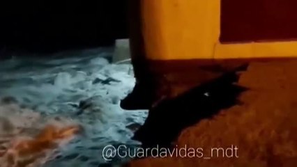 Espectacular derrumbe de una casa en una playa de Argentina