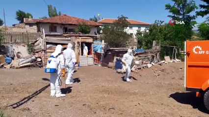 Tokat’ta kuş gribi şüphesi