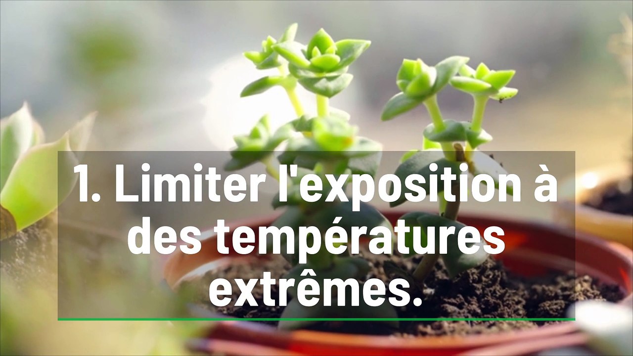 Quand vous déménagez ces 3 astuces vous aideront à sauver vos plantes