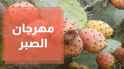 جمعية اصالة تطلق مهرجان الصبر في قرية رنتيس