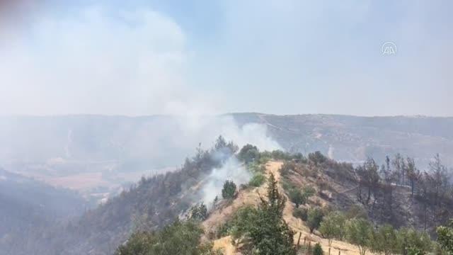 Son dakika haberi: Aladağ'da çıkan orman yangınına müdahale ediliyor