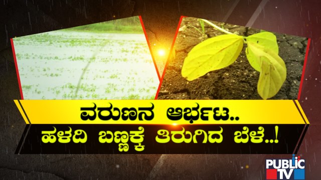 ಭಾರೀ ಮಳೆಗೆ ಬೀದರ್ ಜಿಲ್ಲೆಯ ರೈತರು ಕಂಗಾಲು..! | Heavy Rain Damages Crops Grown In Lakhs Of Acres | Bidar