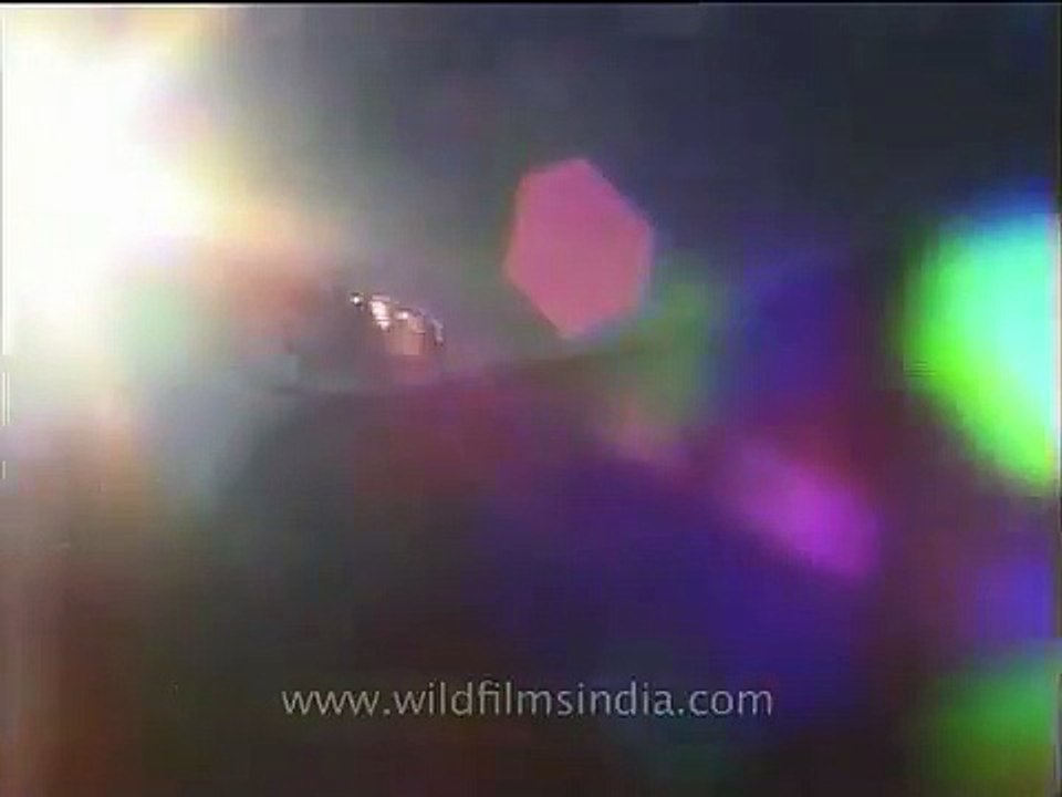 Wild helicopter ride over the Himalayas