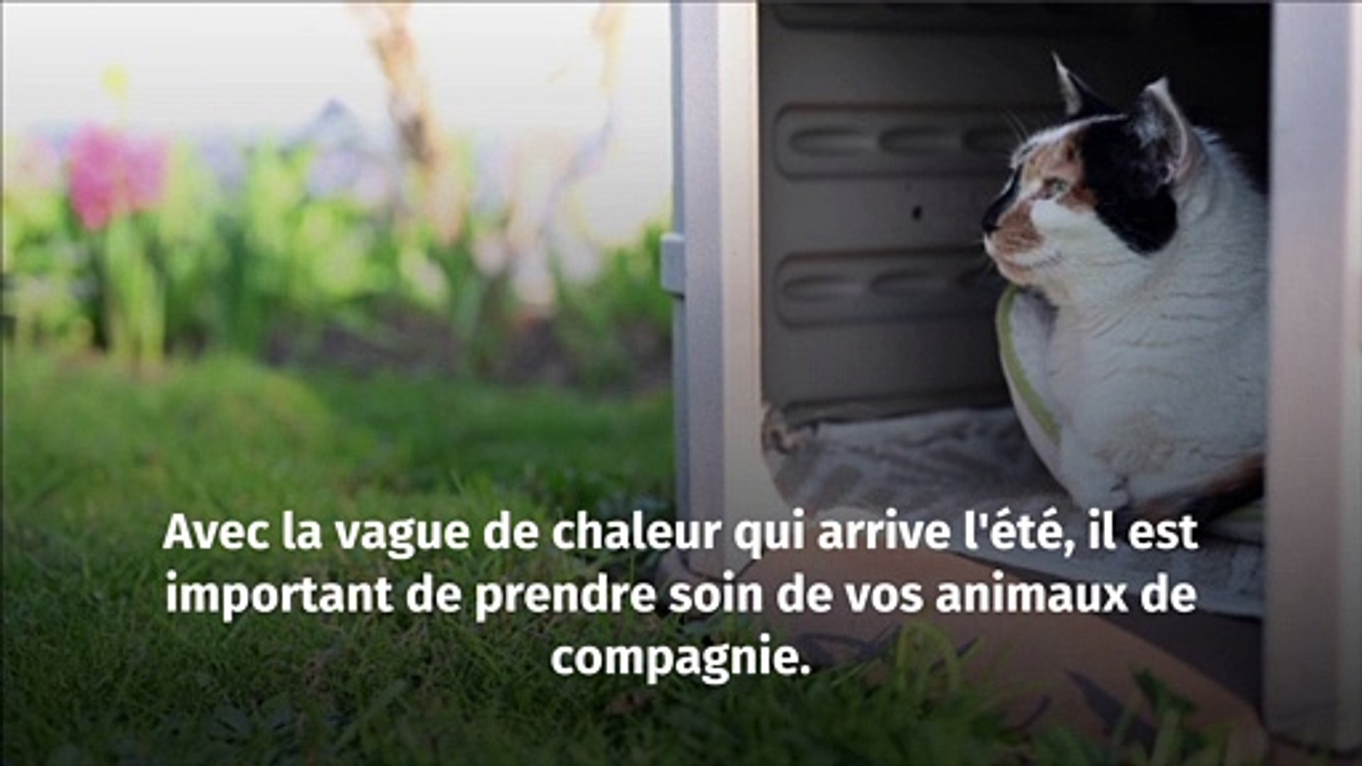 https://s1.dmcdn.net/v/T8fPU1X0xi75WtmQp/x1080
