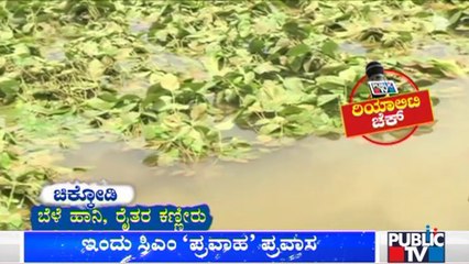 Download Video: Crops Grown In Thousands Of Acres Damaged Due To Floods | Public TV Ground Report From Chikkodi