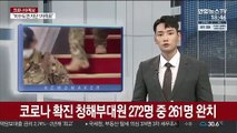 코로나 확진 청해부대원 272명 중 261명 완치