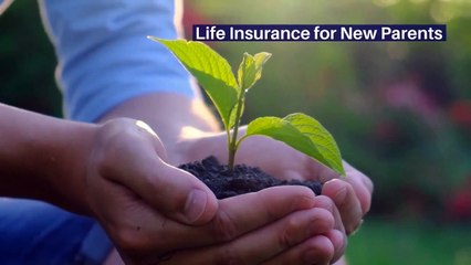 Randon Morris | Life Insurance Policies for New Parents