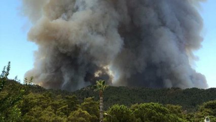 Marmaris’te orman yangını